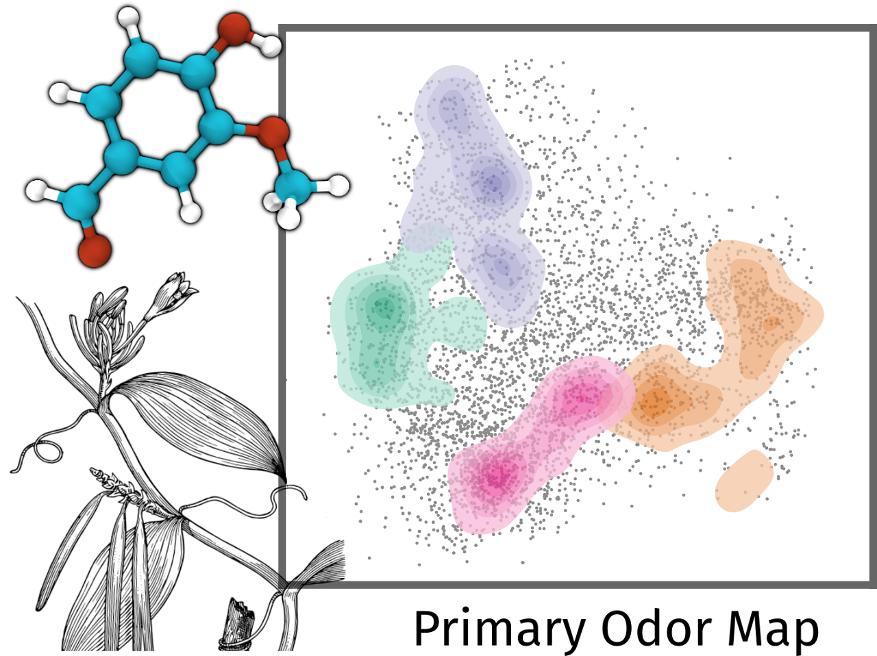 Olfaction & Sensory AI
